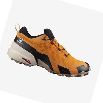 Salomon CROSS HIKE GORE-TEX Turisticke Topanky Panske Oranžové | SK 2018YXF